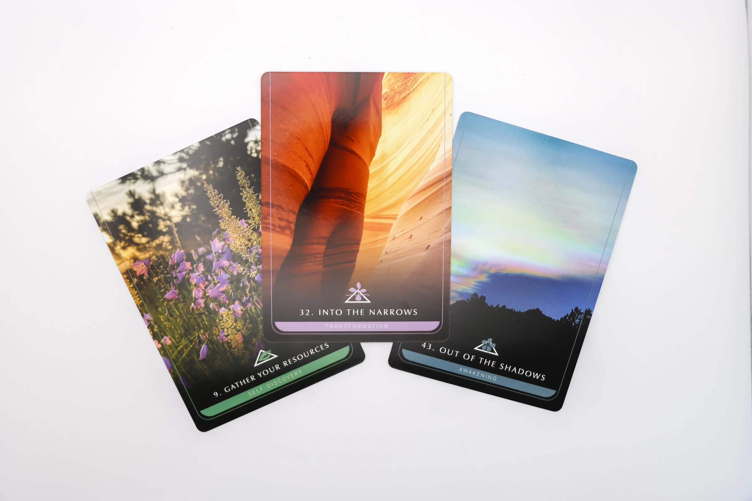 Post-Traumatic Growth Deck by Dr. Arielle Schwartz