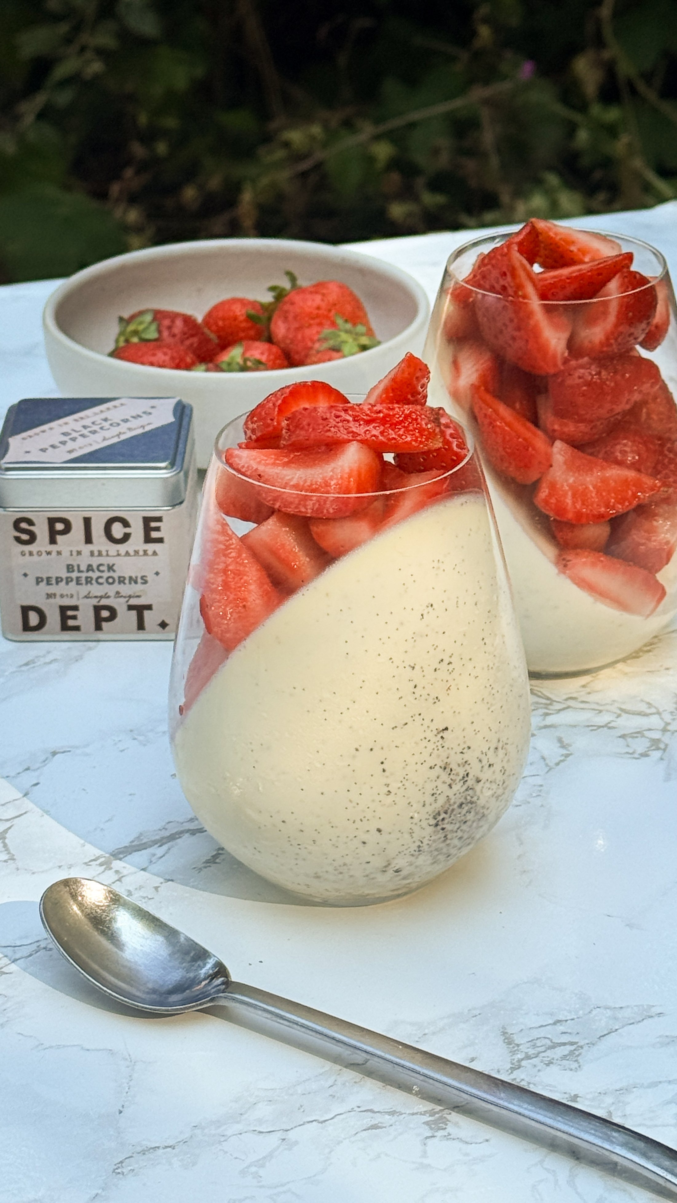 PANNACOTTA_V1-1.jpg