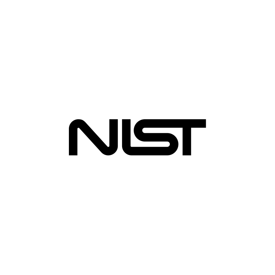 Black logo with stylized letters 'NST' on a white background.