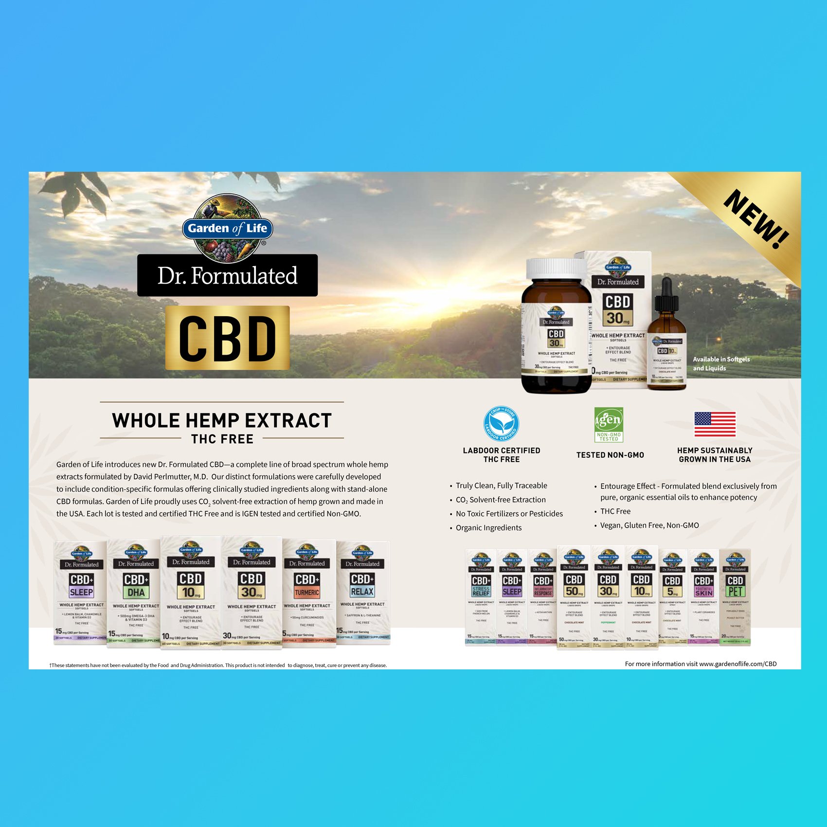 National Ad Campaigns