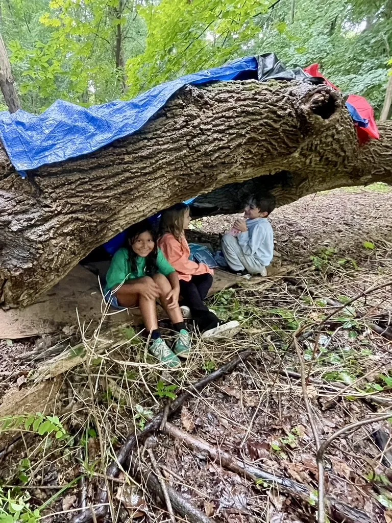 CF846947-8416-4438-9164-B3973B9B76D0_1_105_c.jpeg