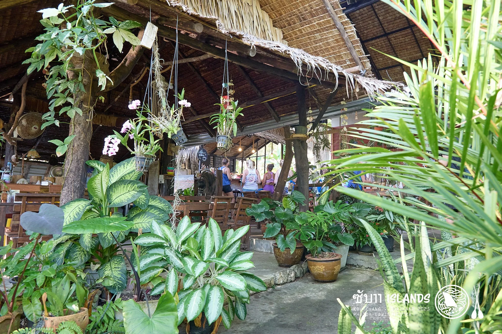 Indoor tropical cafe with lush green potted plants, hanging orchids, and bamboo roof, with four women sitting at the counter.