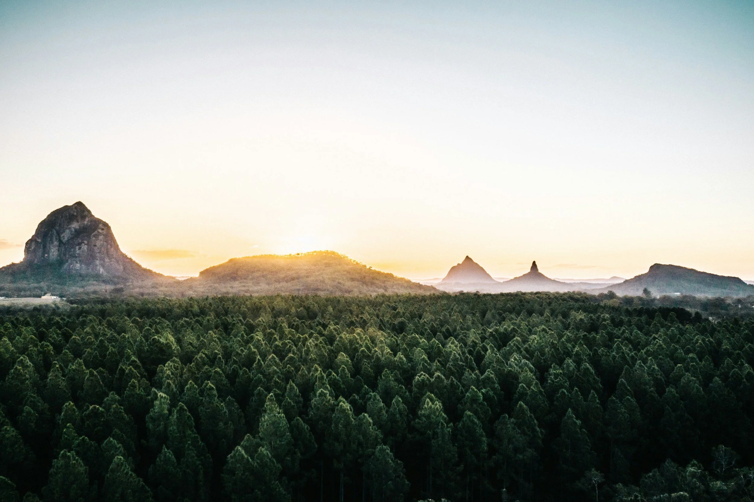 A scenic landscape of a lush green forest with mountain peaks in the background during sunset