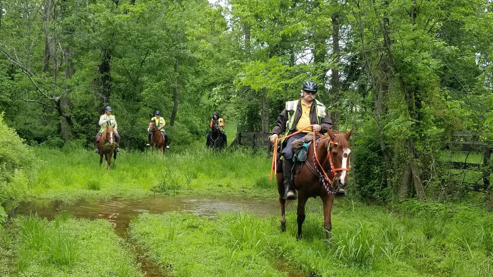 Mounted Flooding 1.jpg