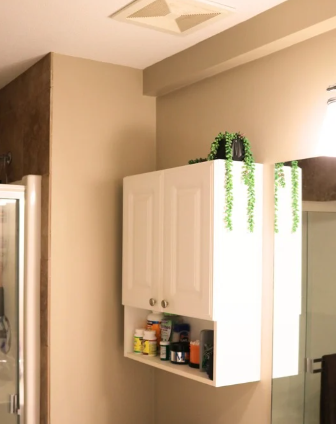 plumbing track installed and painted White bathroom cabinet with two doors and an open shelf holding various medication bottles and containers, mounted on a beige wall next to a glass shower door, with a potted plant on top.
