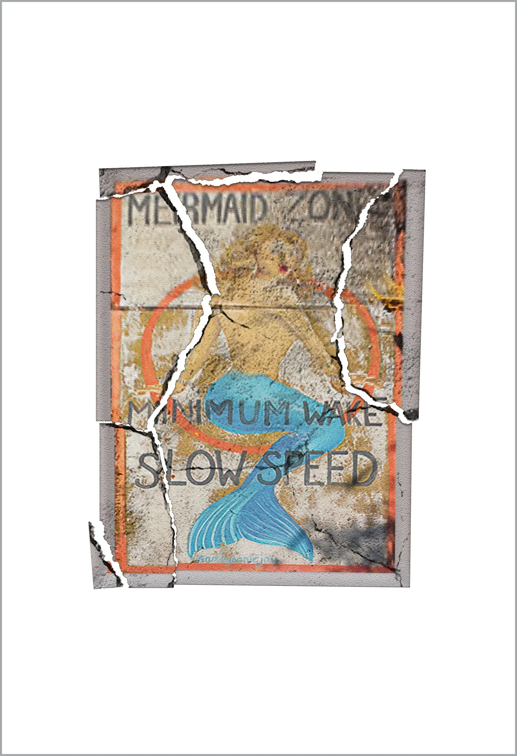 Mermaid Slow Speed Pro Platinum 13 x 19 2500.jpg