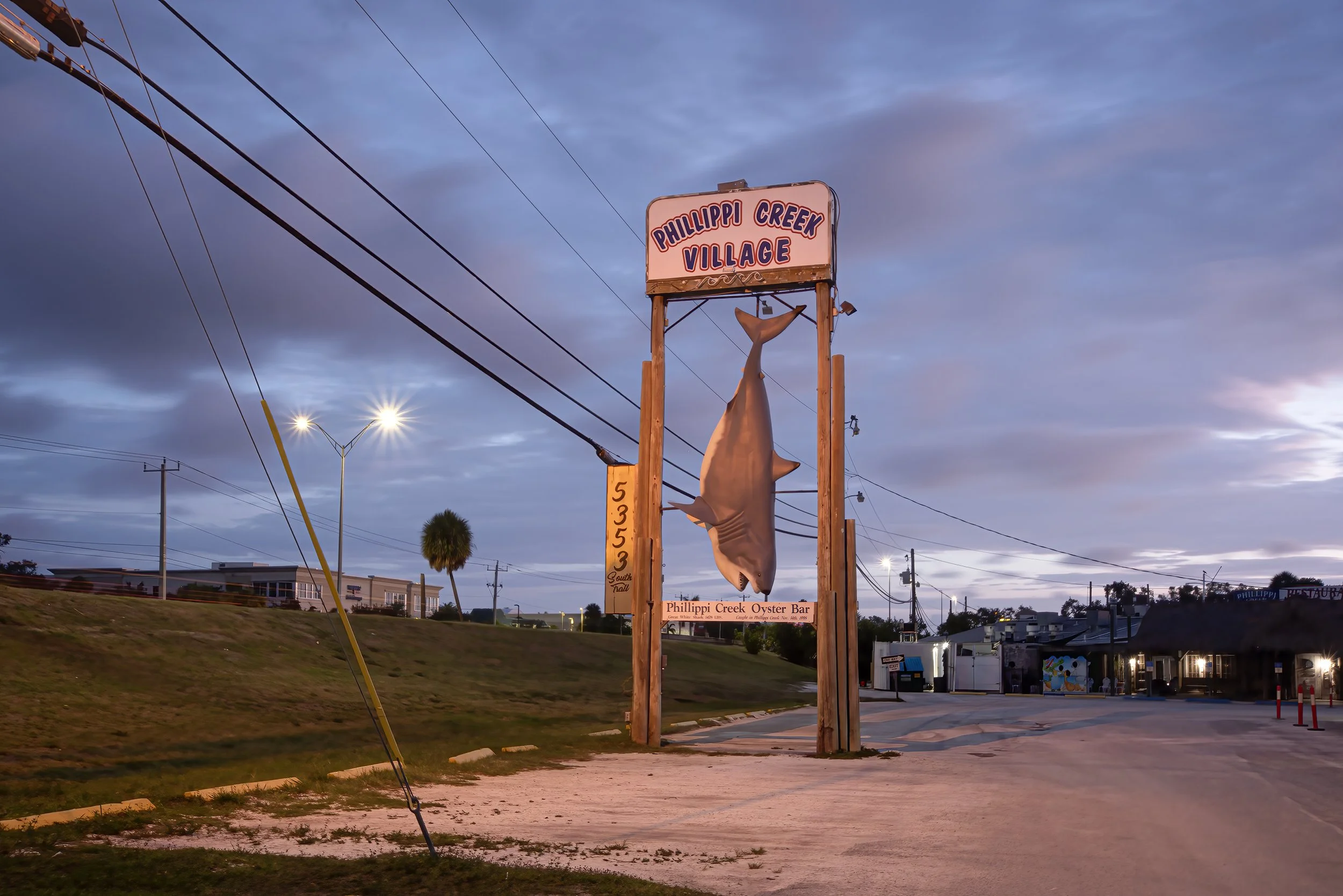 Great Light Shark 1 2500.jpg