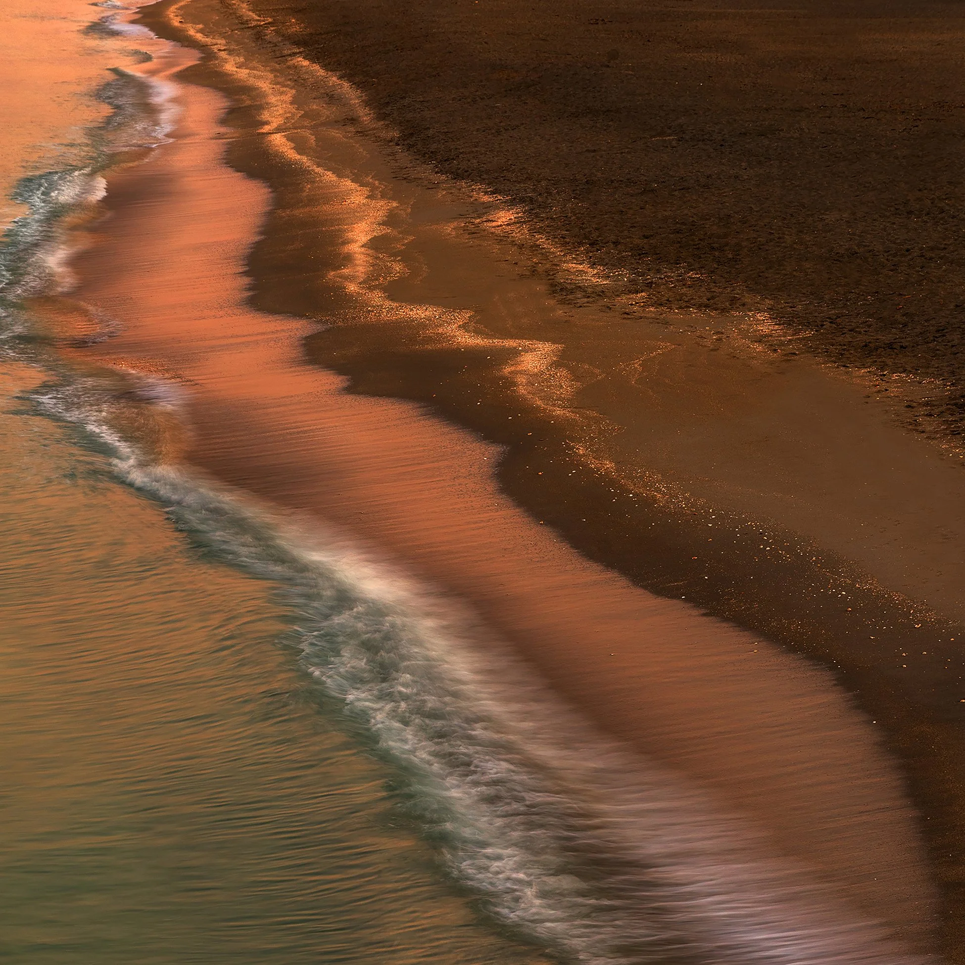 Red Wings 6.5 x 6.5.jpg