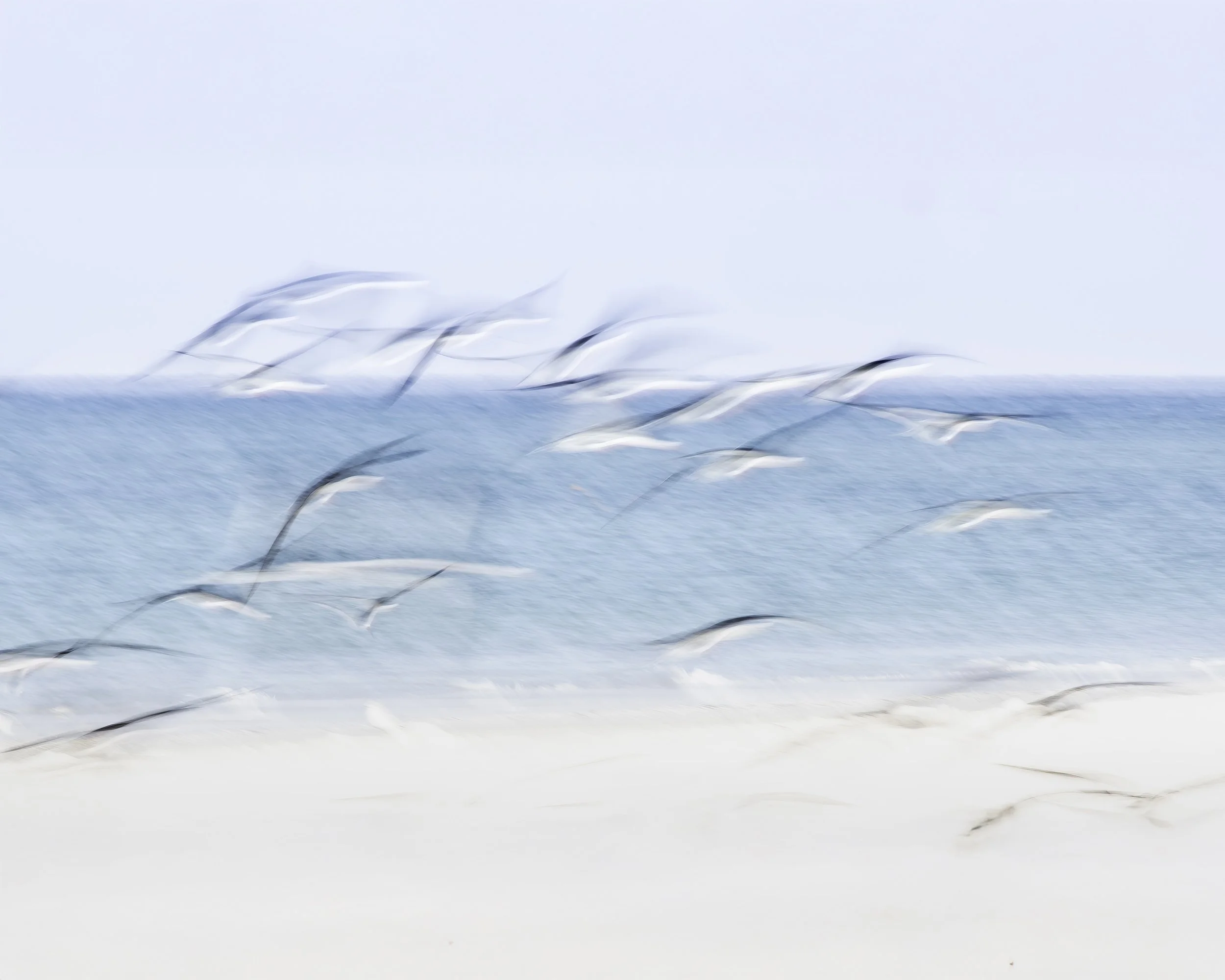 Lido Beach Blurr 2500 5x4.jpg