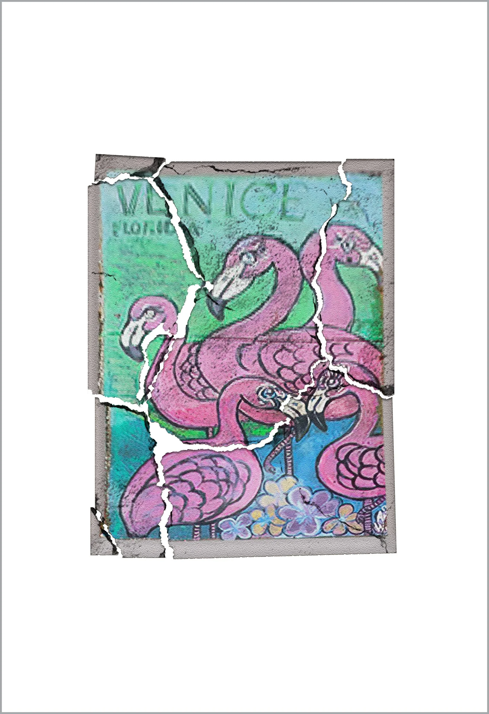 Venice Flamingo Pro Platinum 13 x 19 2500.jpg