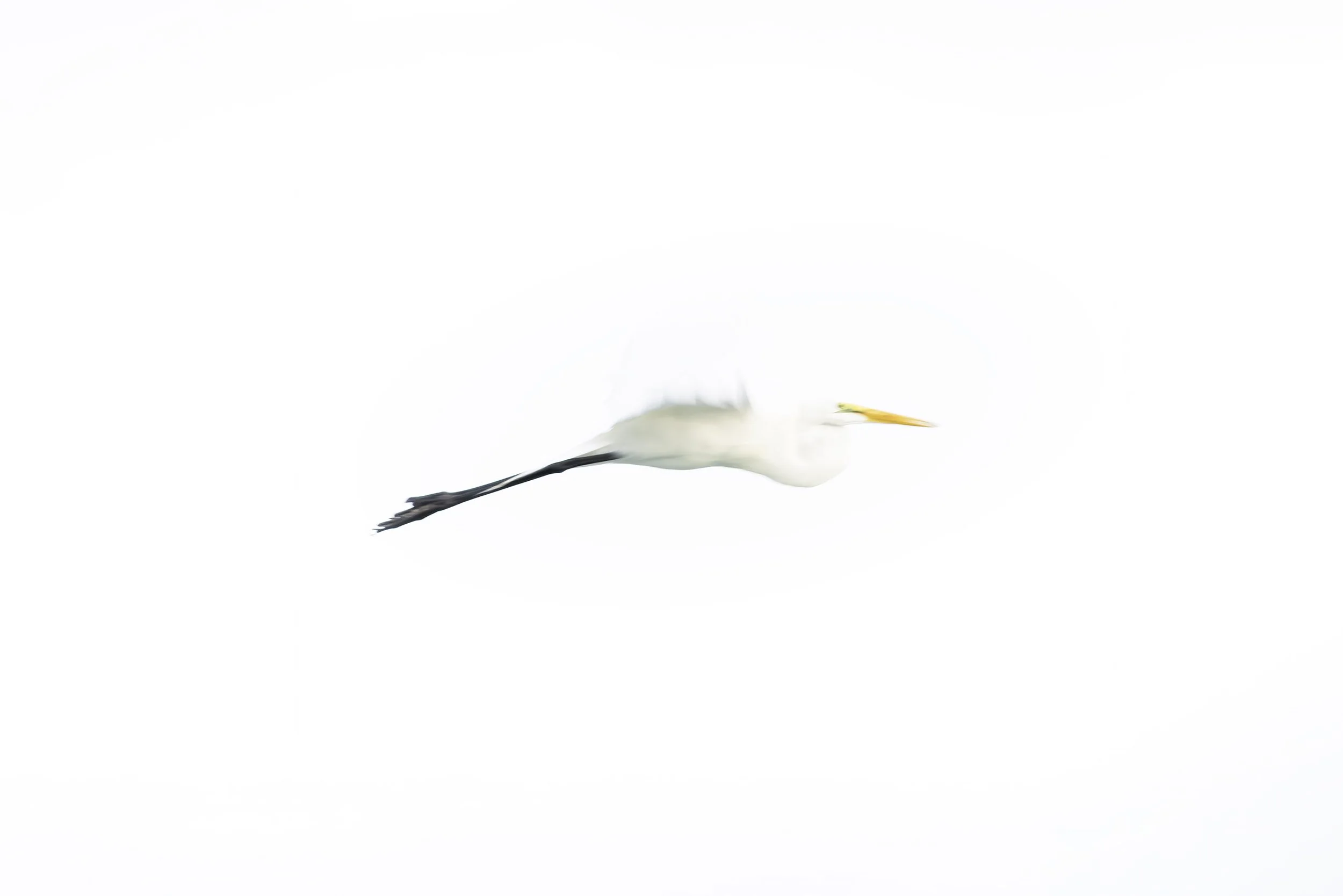 Into The Mystic 2500.jpg