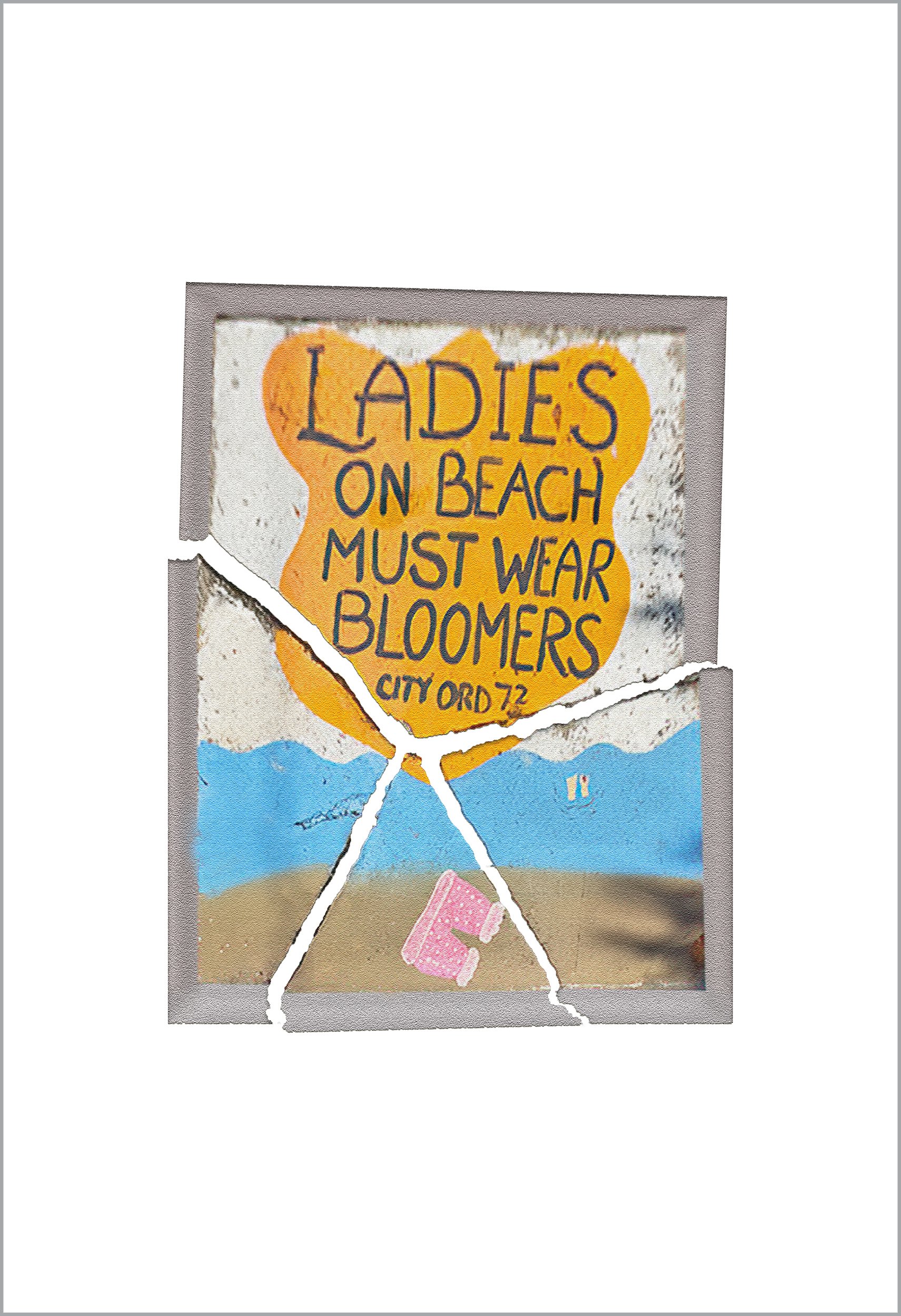 Bloomers pro platinum 13 x 19 2500.jpg