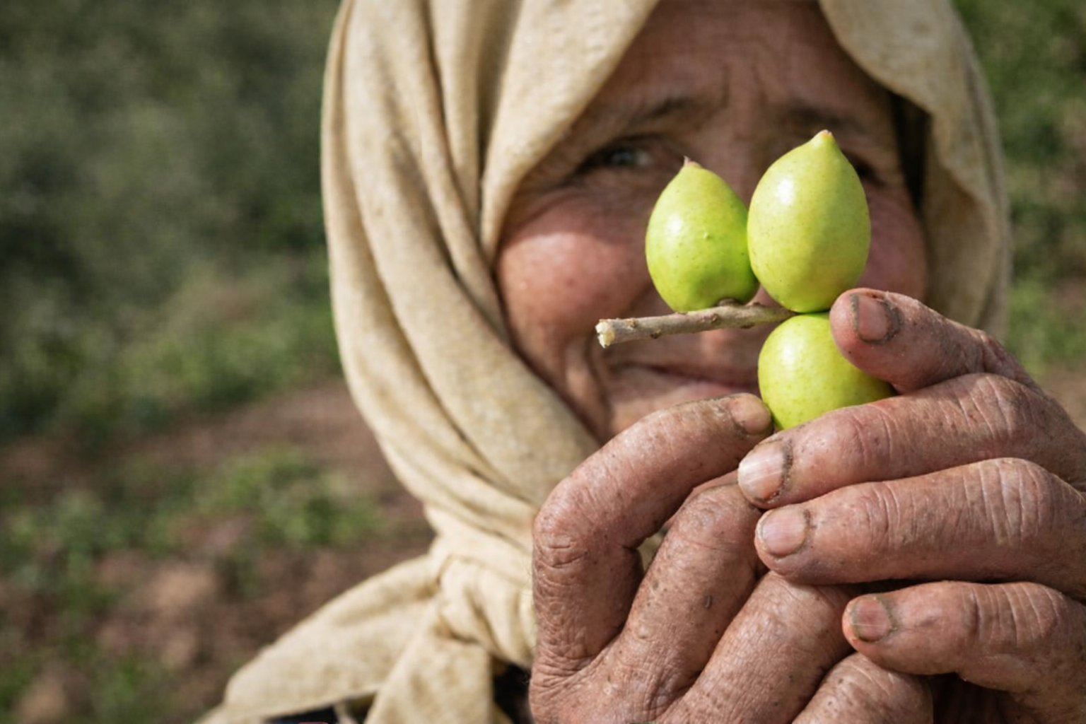 Huile d’argan : héritage féminin