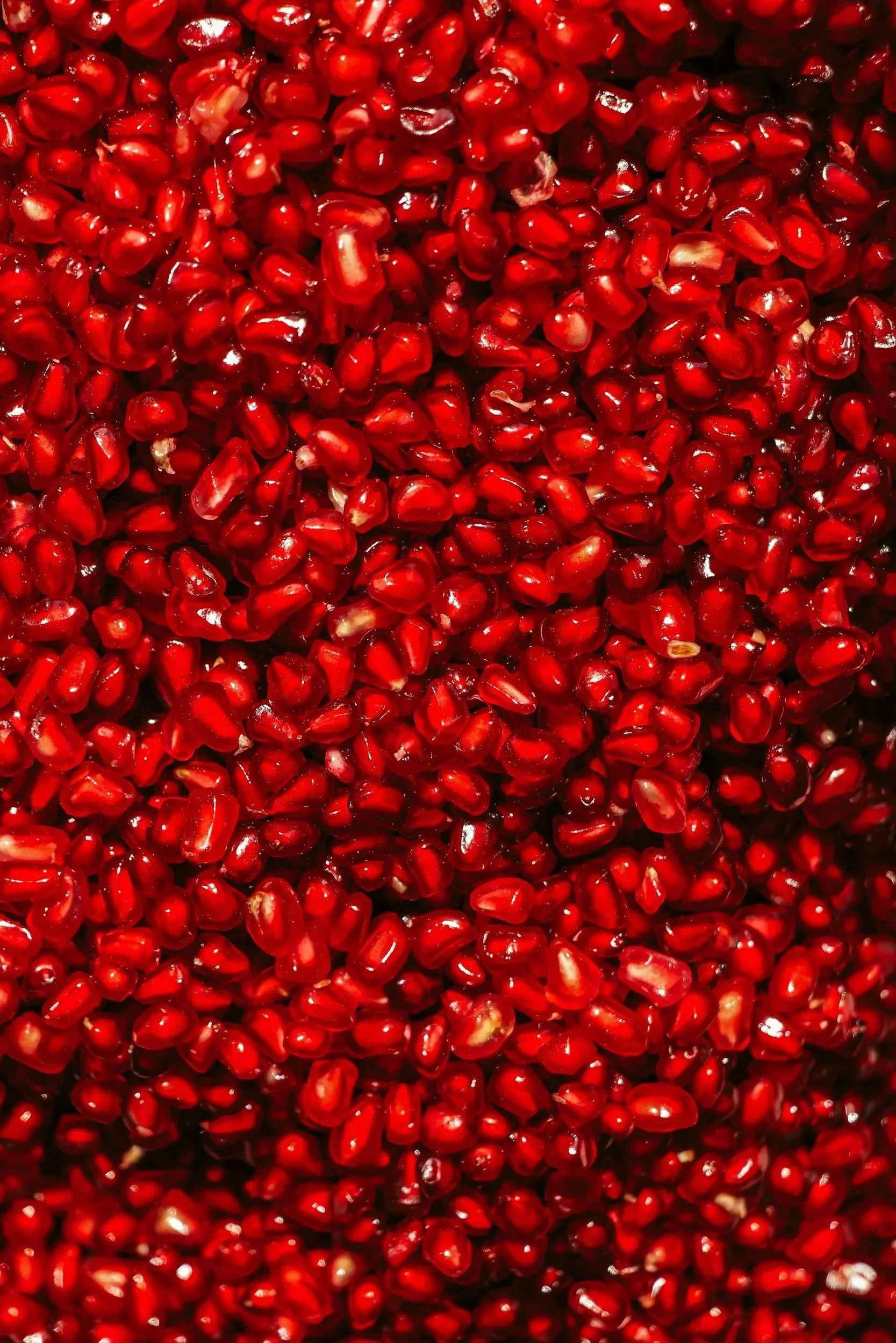 Aker Fassi : une couleur née des fruits et des fleurs