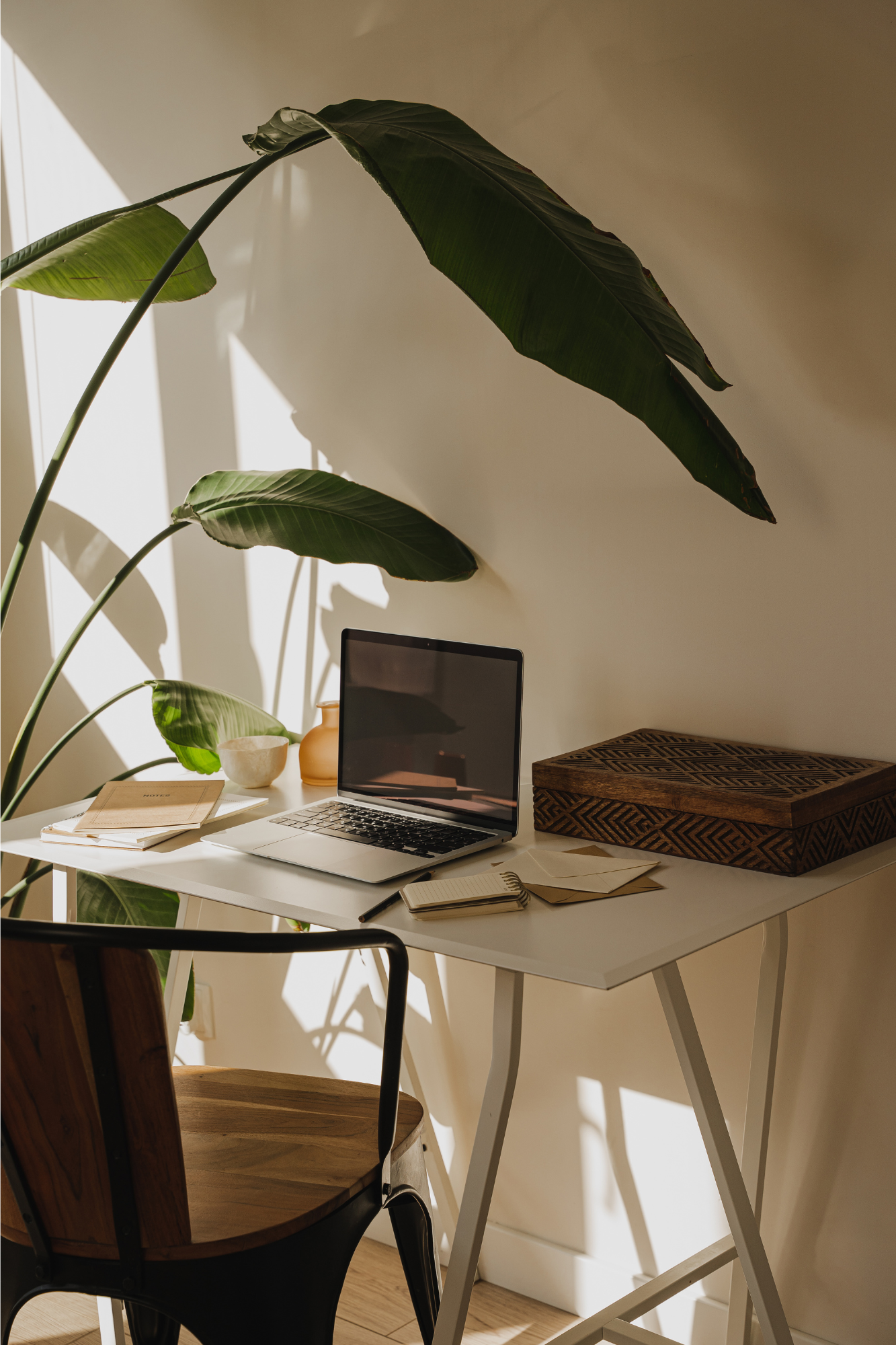 A workspace with a white desk, an open laptop, a small notebook, envelopes, a small bowl, a ceramic vase, and a patterned wooden box. There is a large leafy plant casting shadows on the wall.