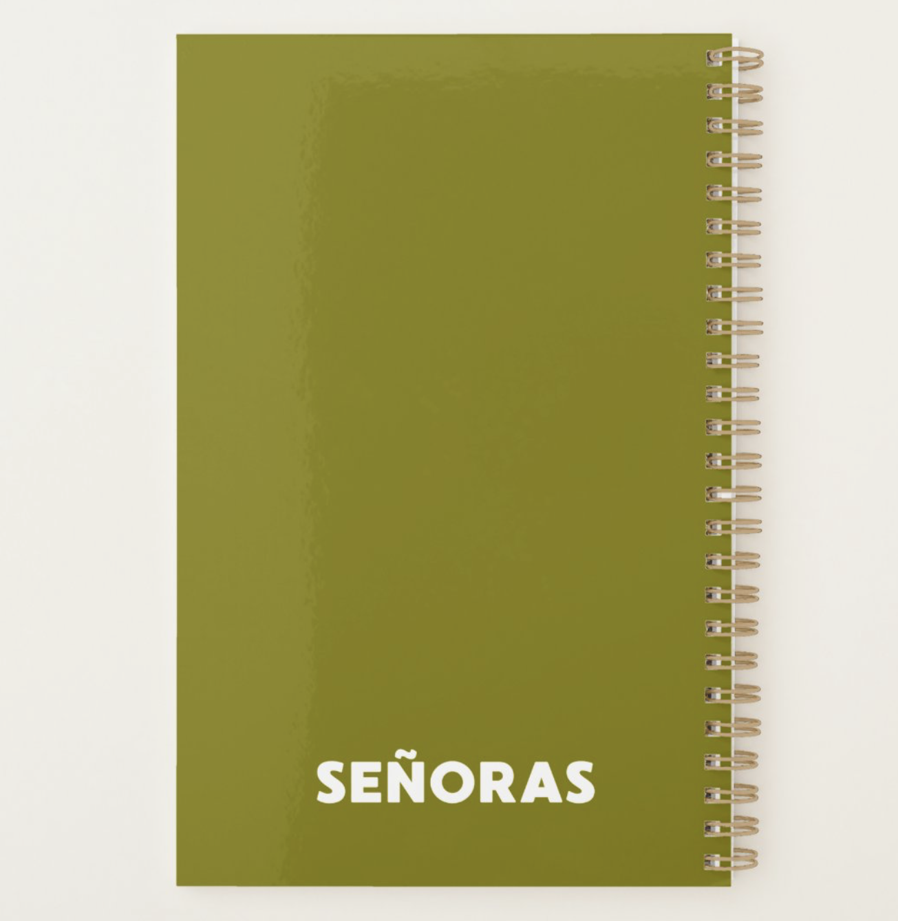 Screenshot 2026-01-10 at 11.53.43 AM.png