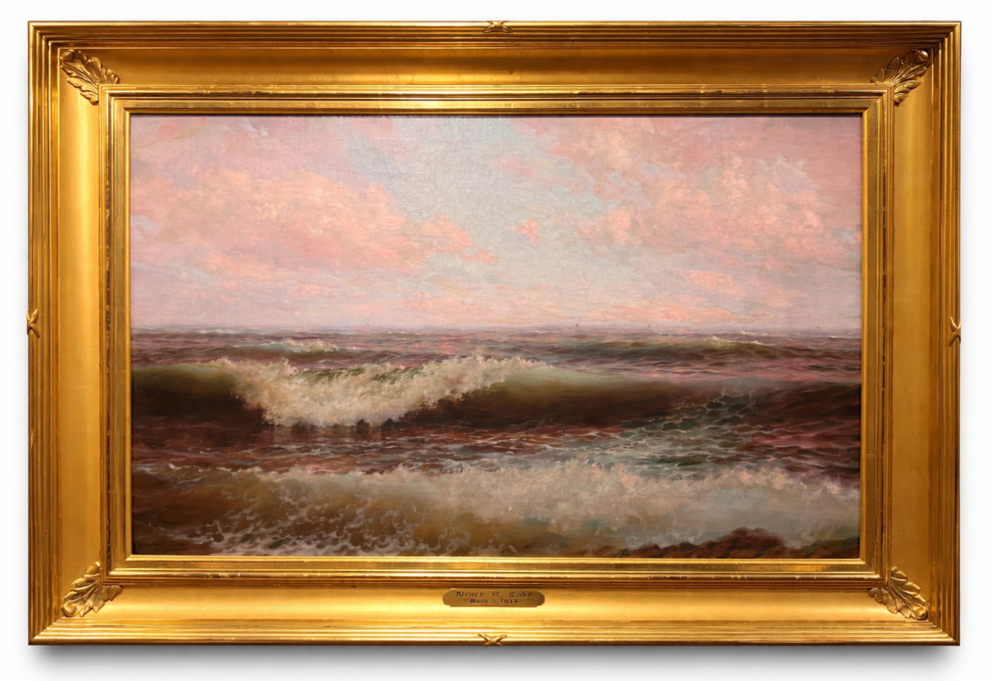 cady web best front.png