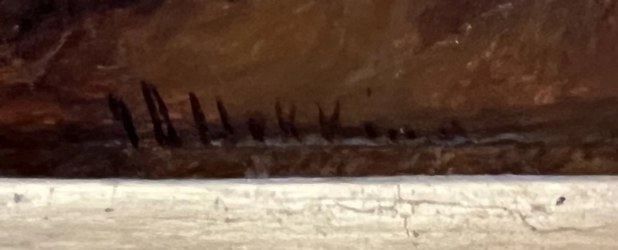 close up of signature web.jpg