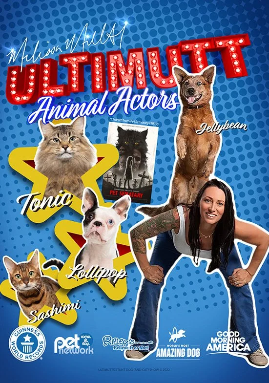 Poster for ULTIMUTT Animal Actors featuring a woman and four animals: Jellybean, Tonic, Lollipop, and Sashimi, with some promotional logos and a parody of the Pet Sematary poster.
