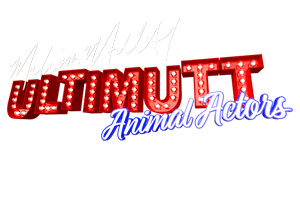 Ultimutts.png