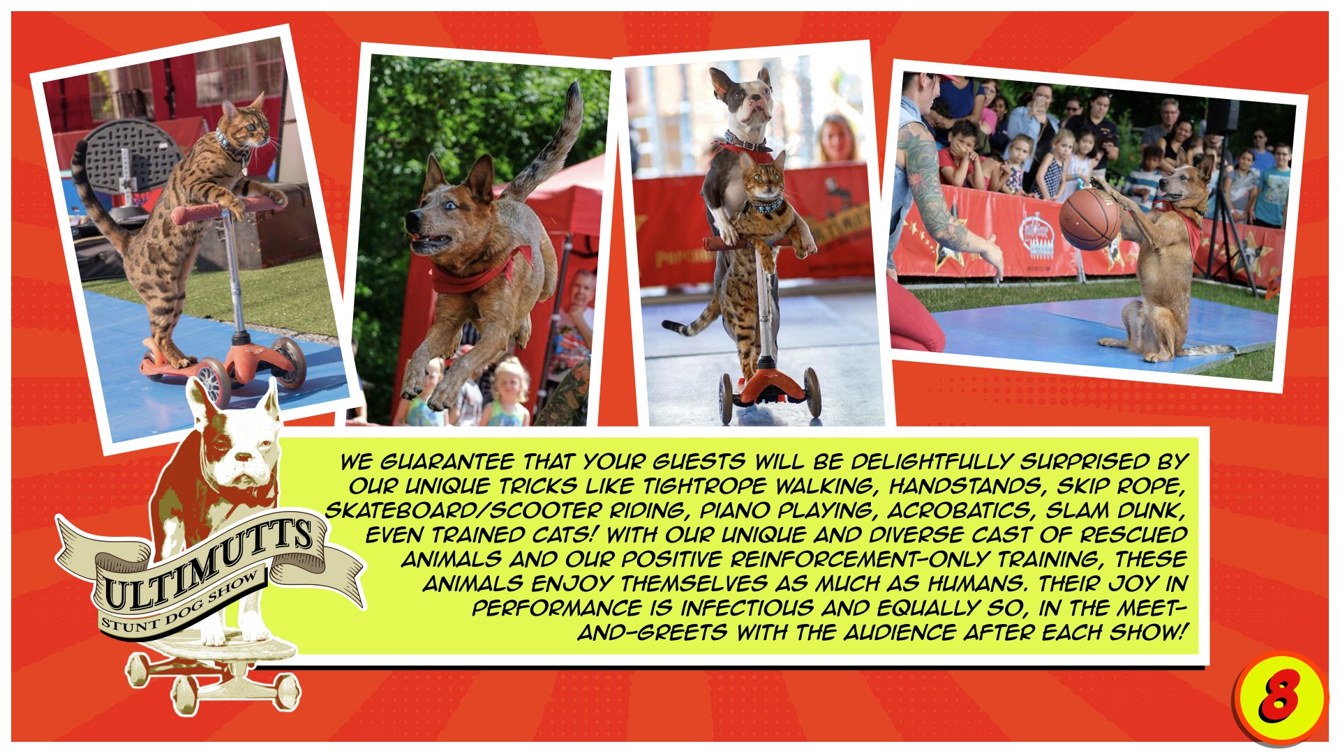 Ultimutts Presentation Deck.008.jpeg