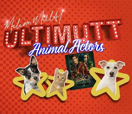 Ultimutts Animal Actors 390x452.jpg