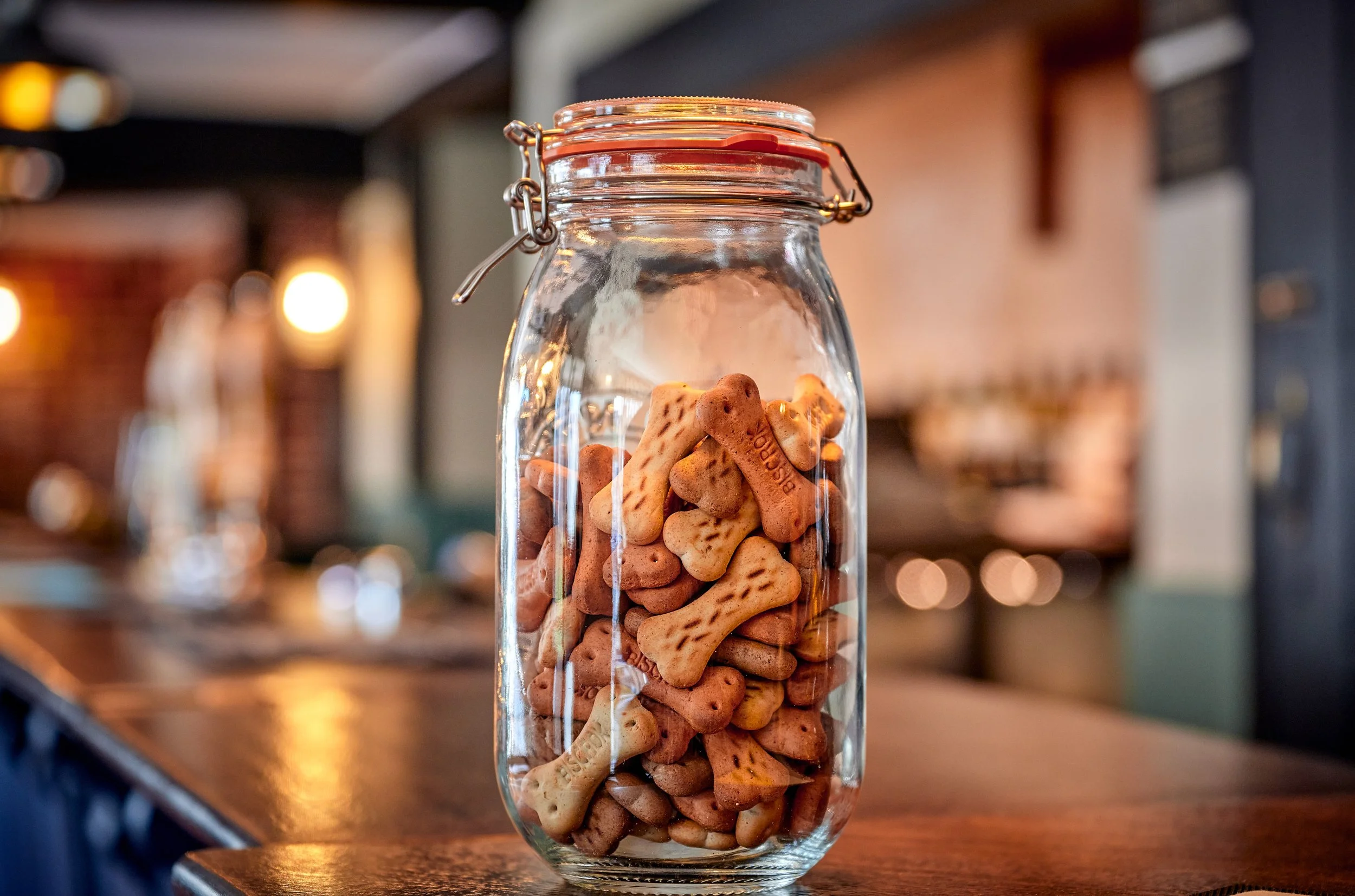 A glass jar filled with dog biscuit bones sitting on a wooden surface in a cozy cafe or restaurant setting.