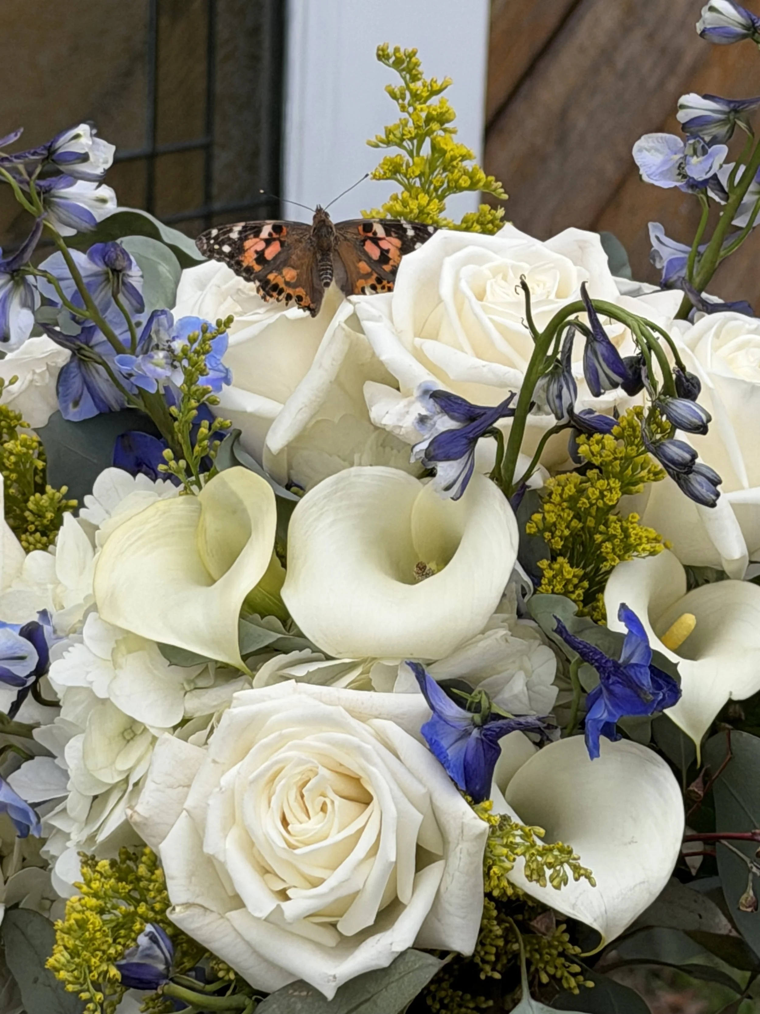 flower with butterfly 