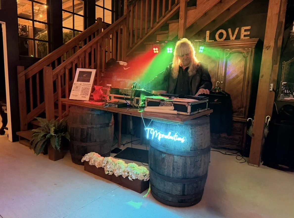 DJ  in the party lights 