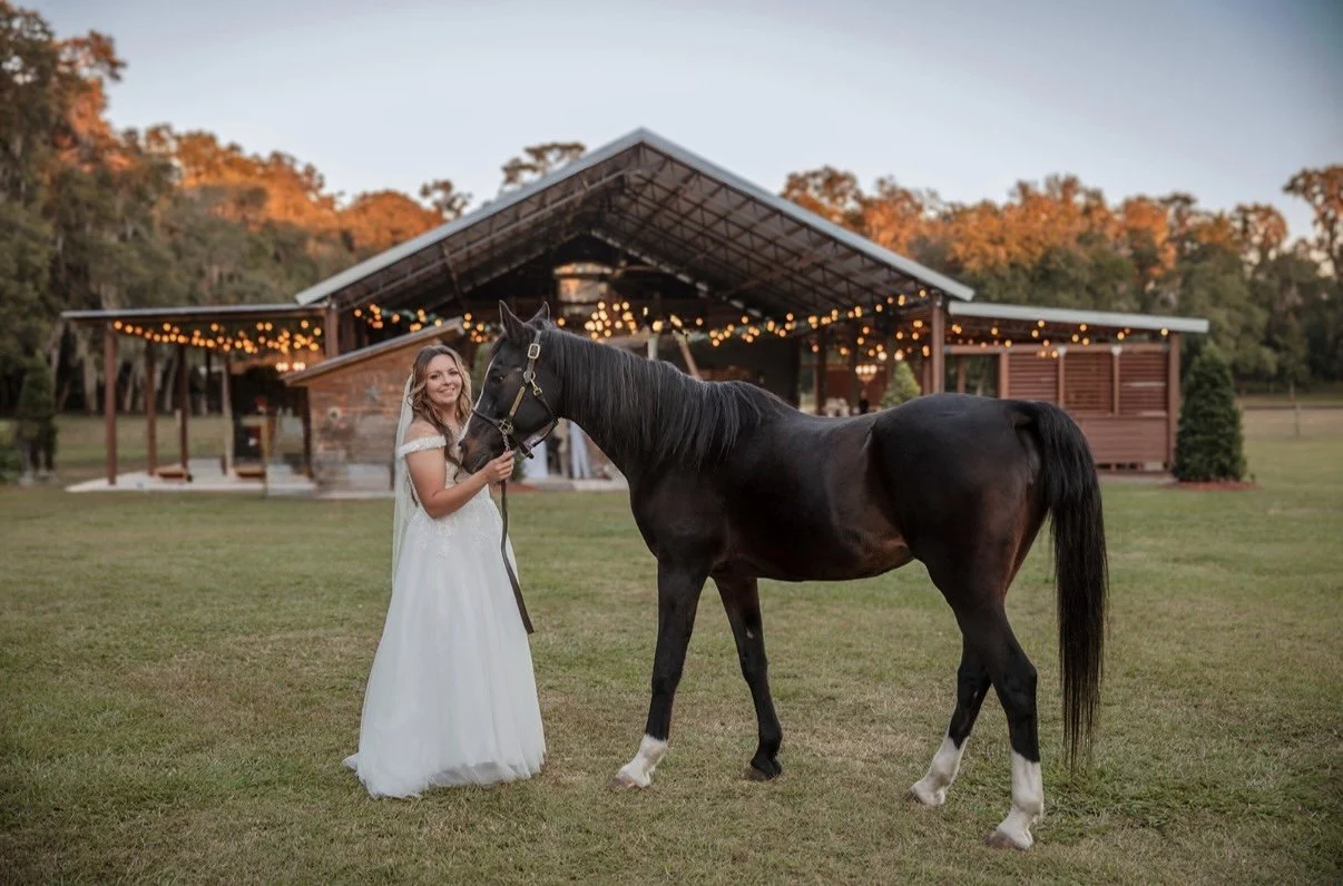 bride and horse 