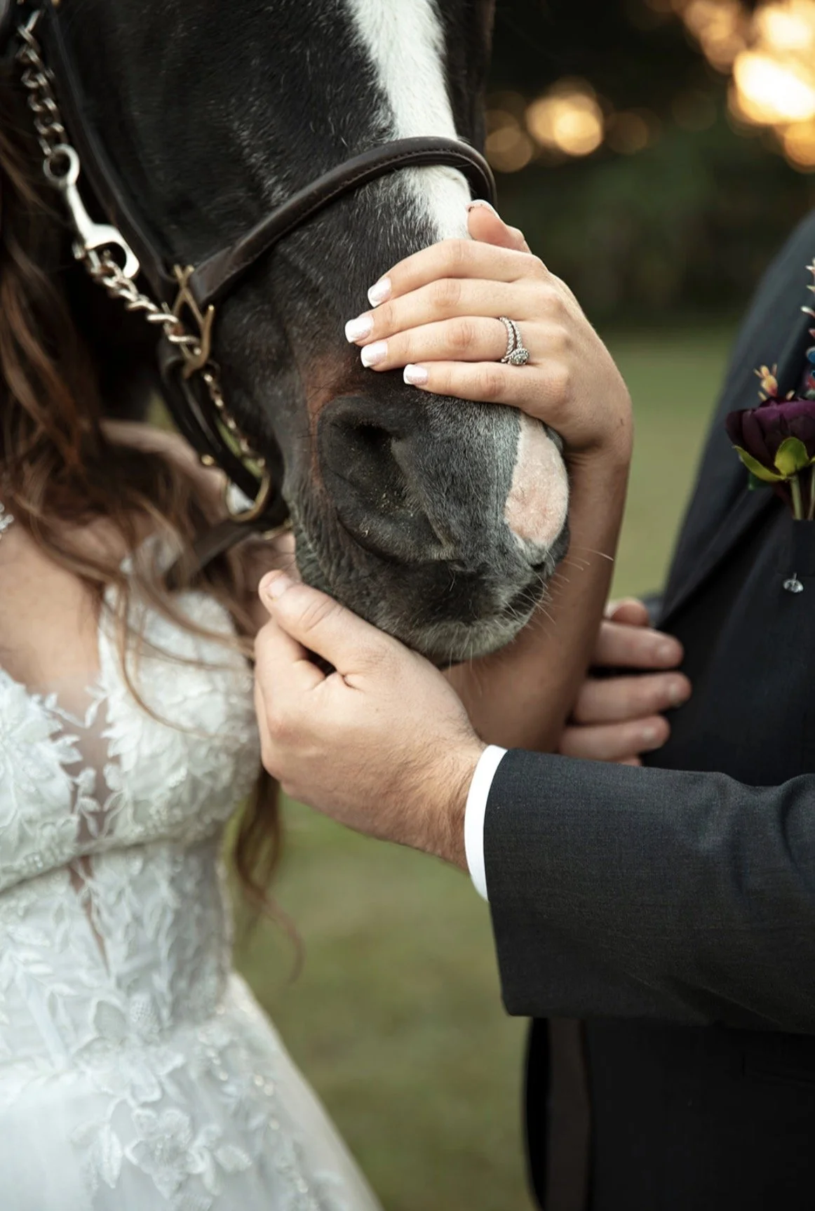 horse nose 