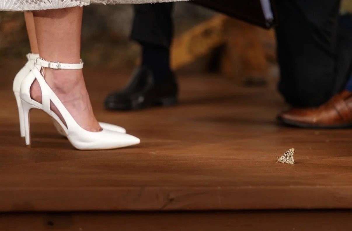 heels and butterfly
