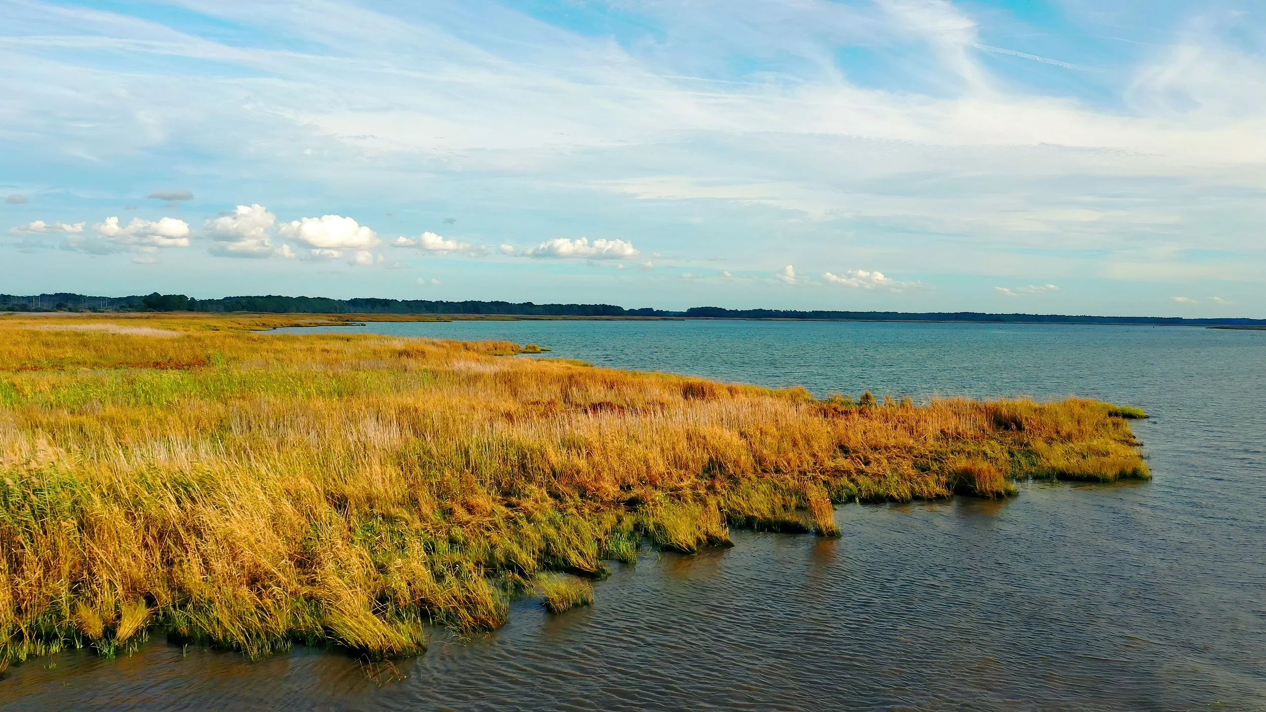 landscape with cloud dotted blue sky, rippling blue river, and orange and green grasses
