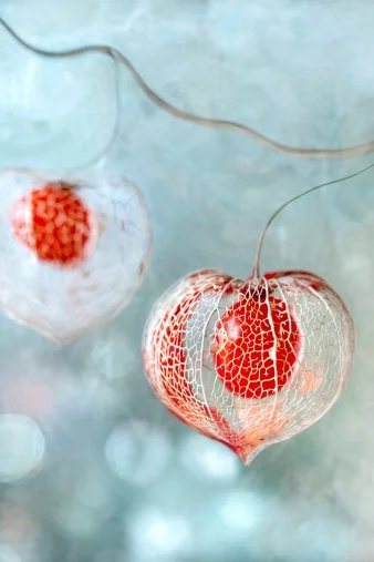 Decorative glass ornaments resembling hearts with intricate red and white patterns, hanging from thin strings.