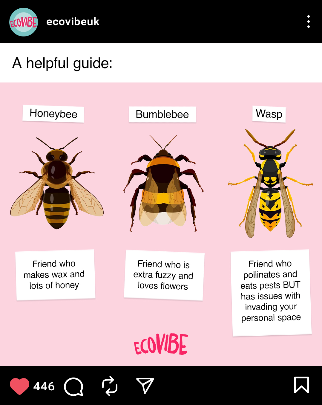 An infographic showing three insects: honeybee, bumblebee, and wasp, with humorous descriptions about their roles and traits.