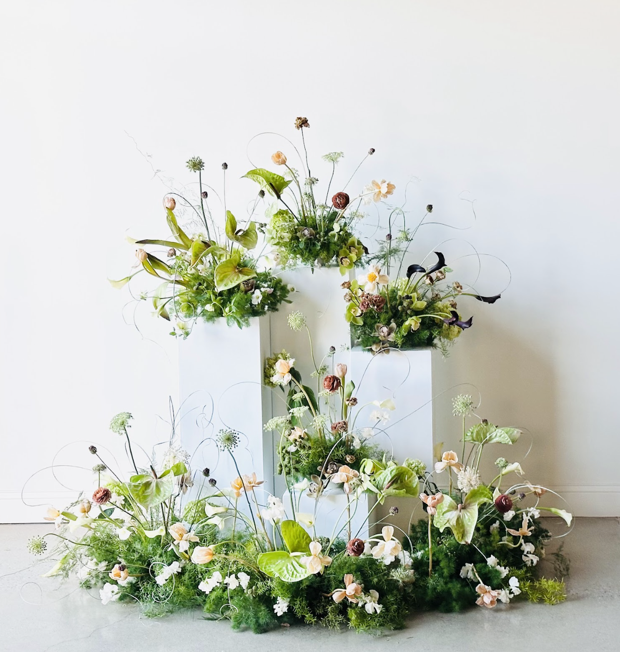 events & installations