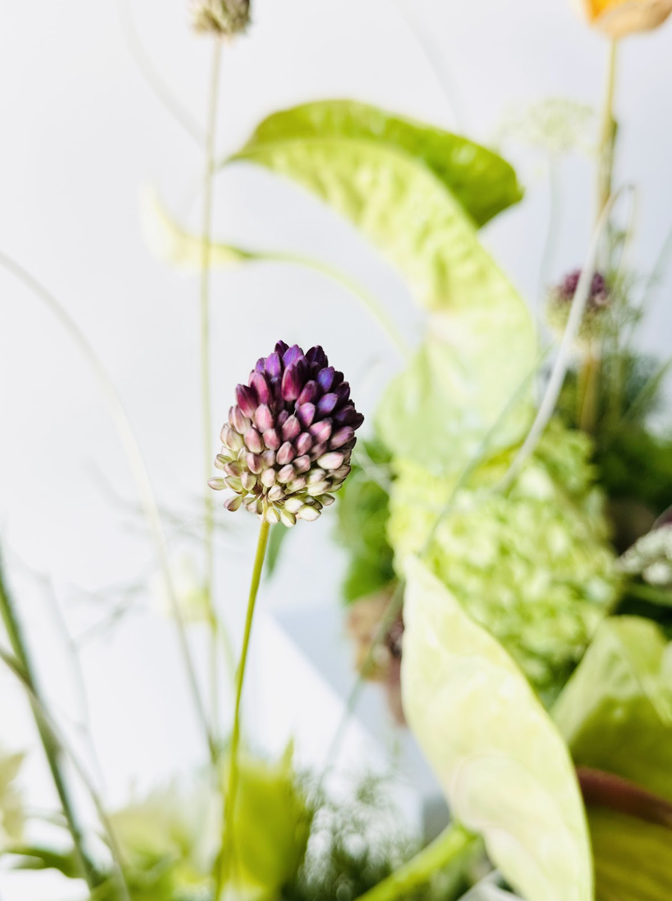 bouquets & personal florals