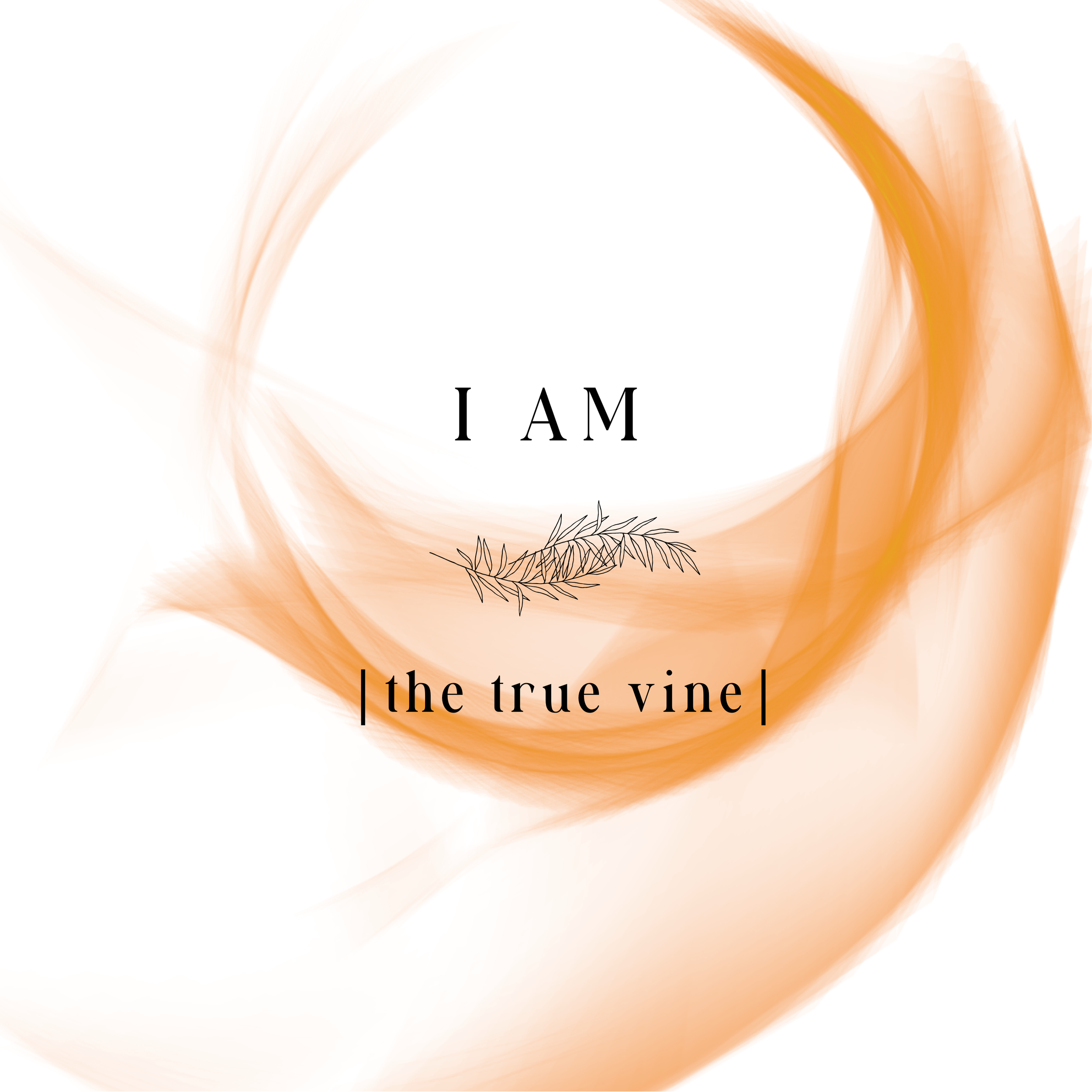 Minimalist design with soft orange brush strokes and black text that reads 'I AM the true vine' with a small illustrated branch.