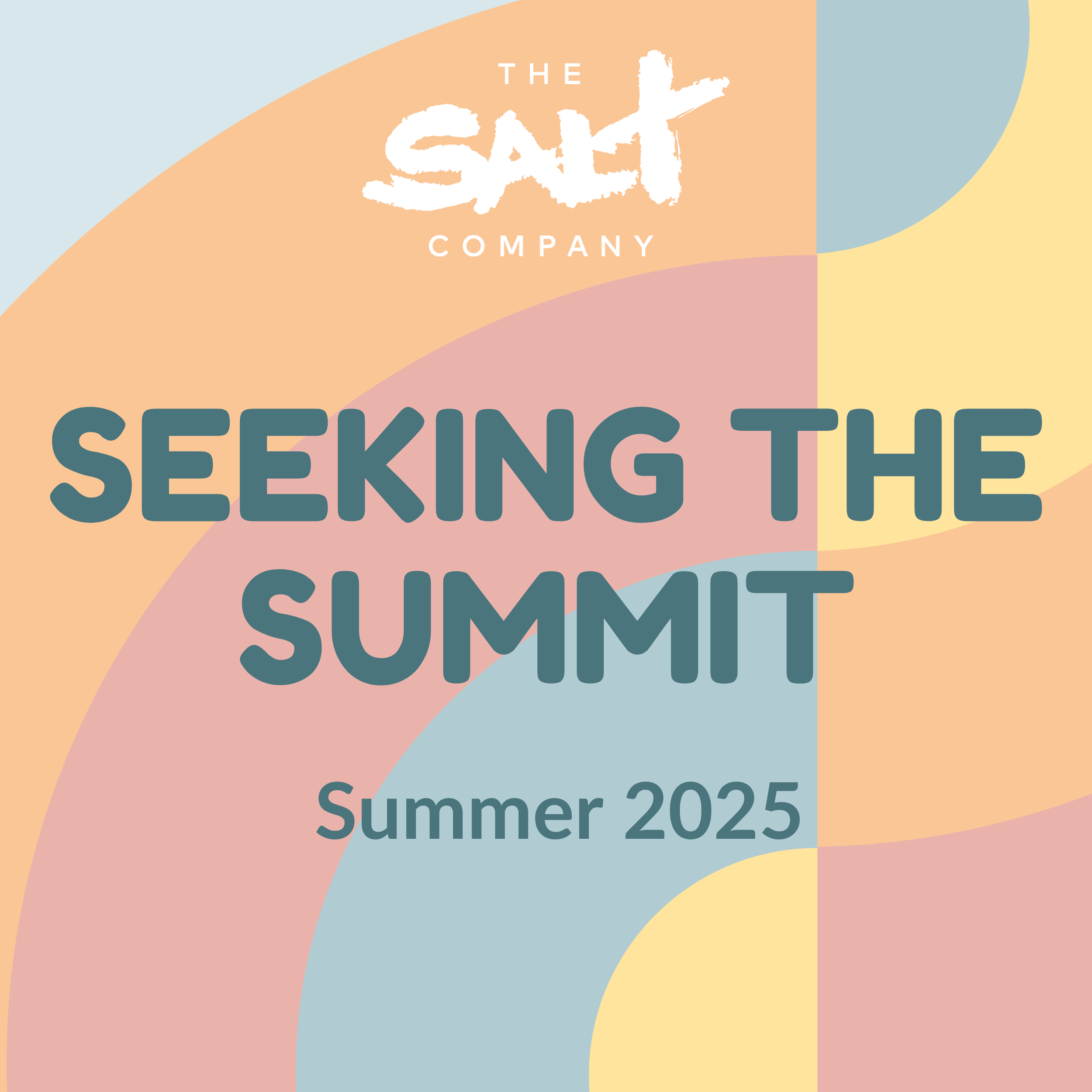 Colorful abstract background with text "The Salt Company" at the top, and large text "Seeking the Summit" with smaller text "Summer 2025" below.
