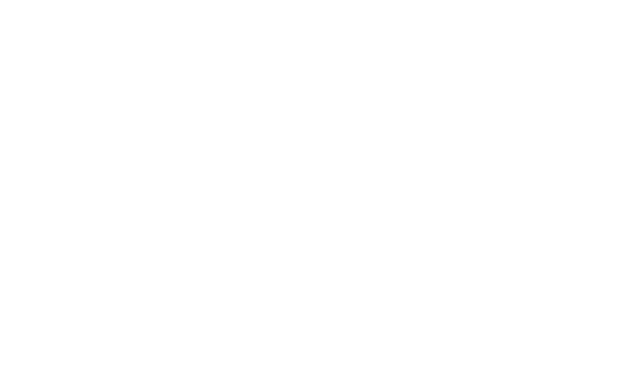 The logo of The Salt Company with the words 'The Salt Company' on a black background, featuring a stylized, rough-textured white text.