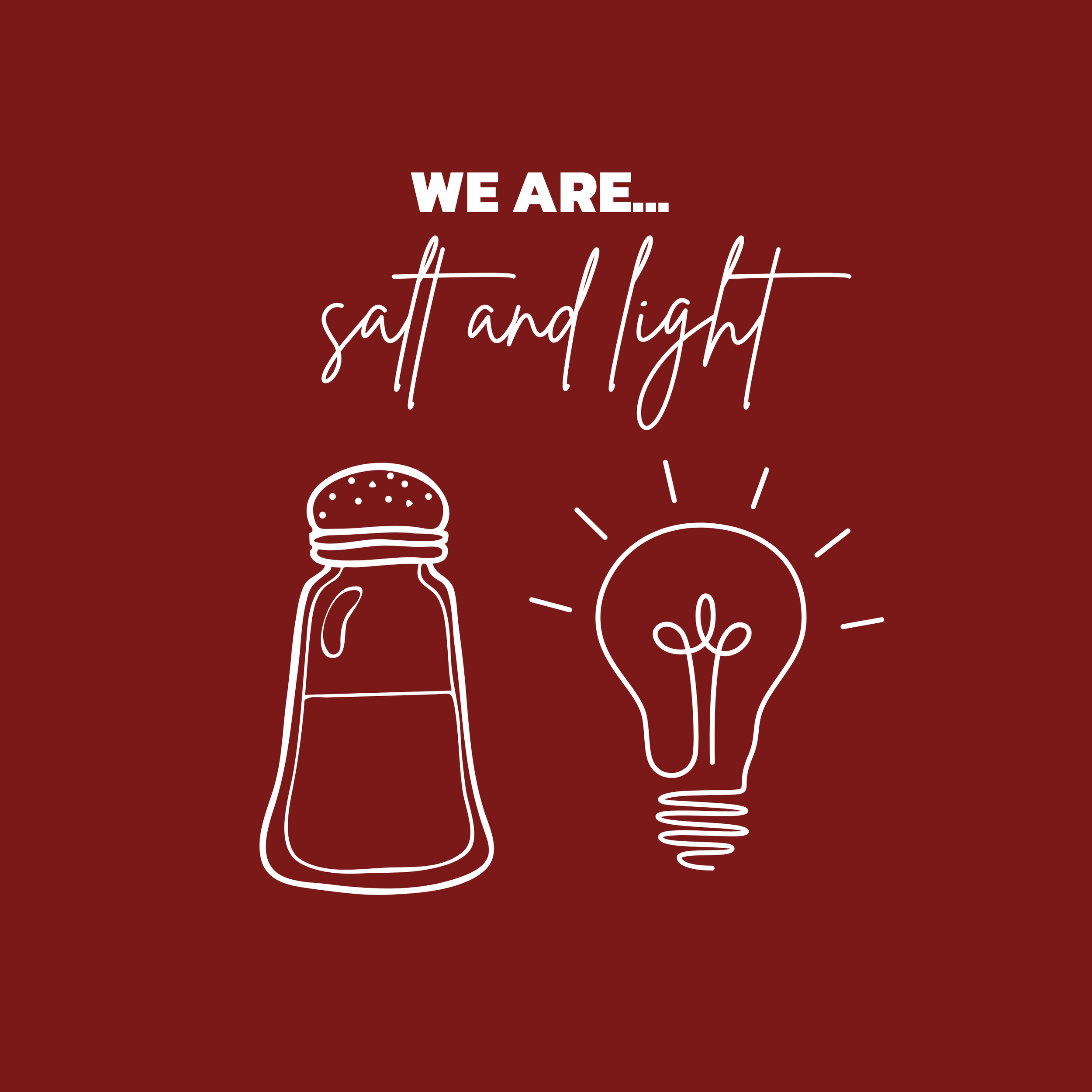 Red background with white line drawing of a salt shaker and a light bulb, with the text "We are... salt and light" in white.