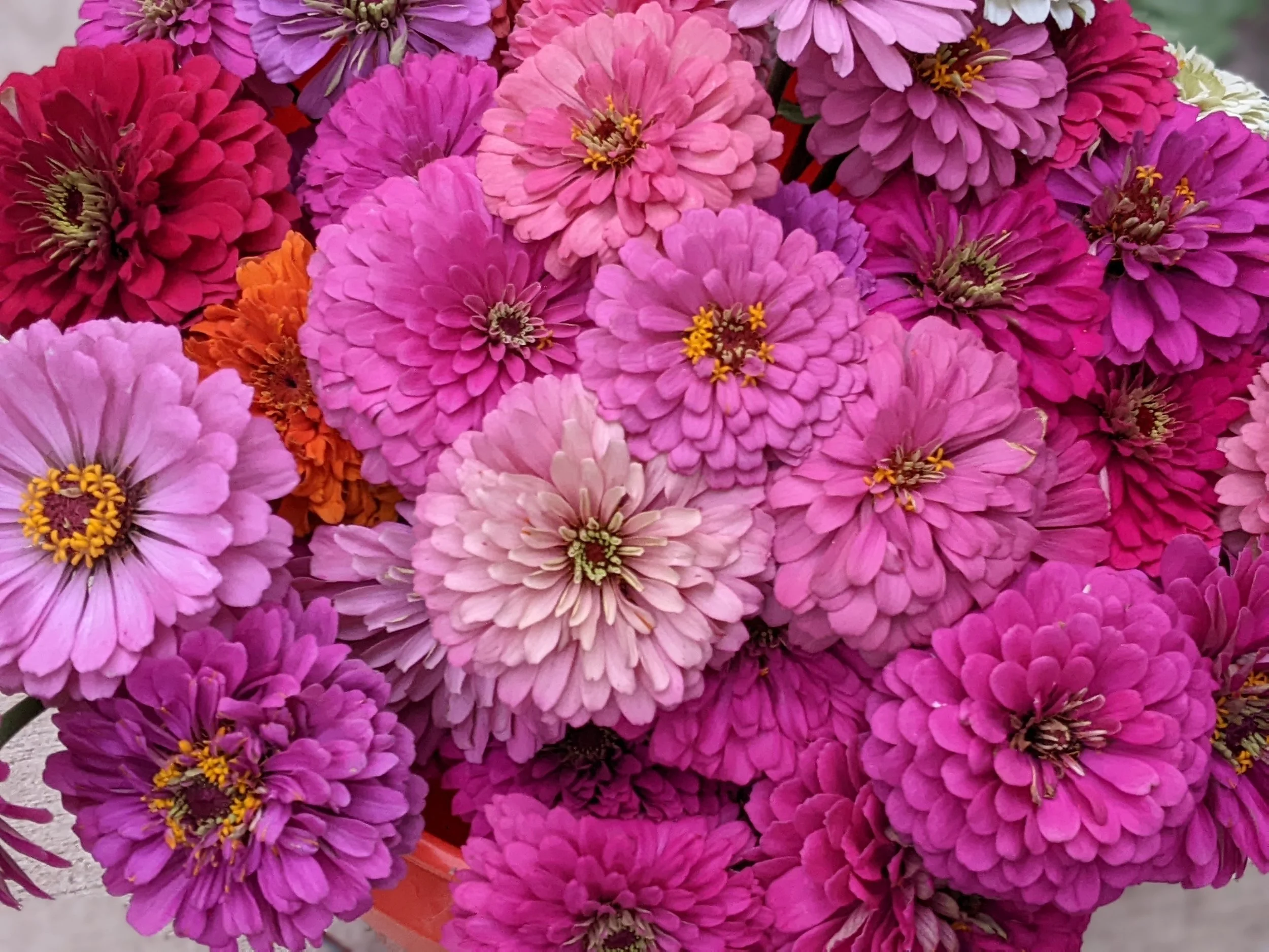 PXL_20250704_013917244.PORTRAIT (1).jpg