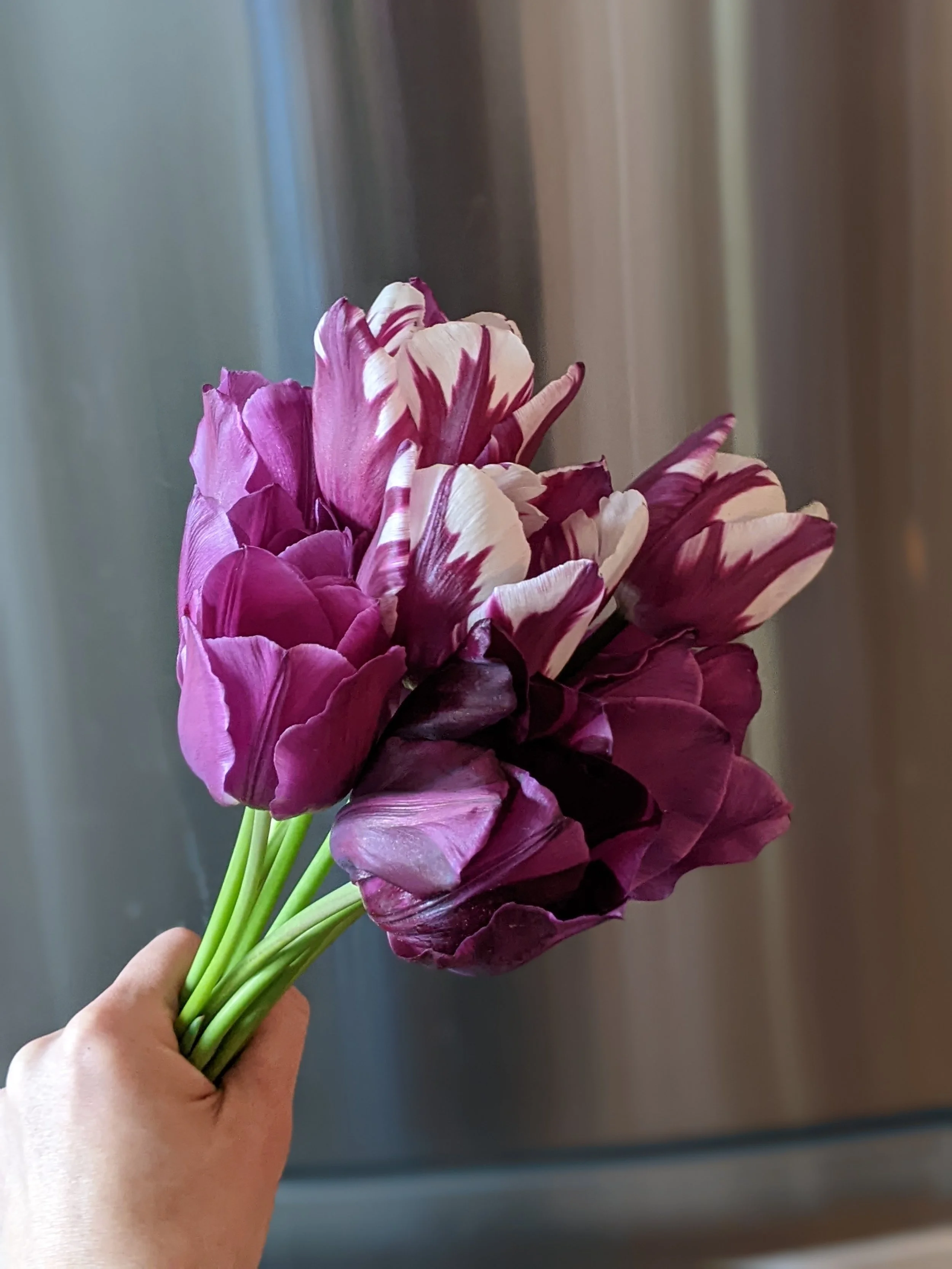 PXL_20250426_135317404.PORTRAIT (1).jpg