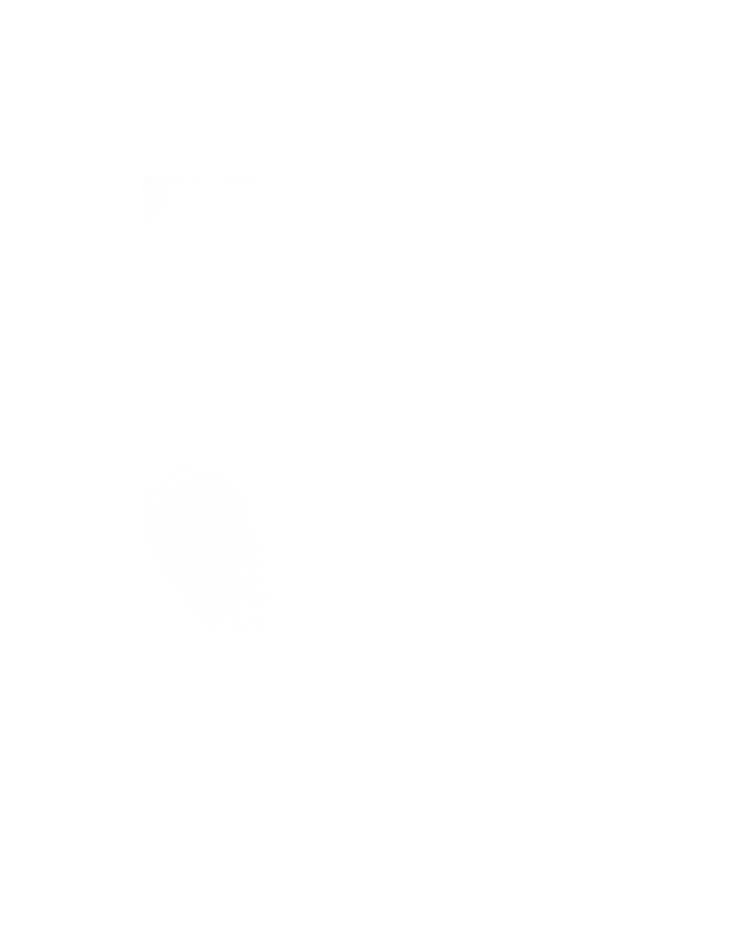 Business Executive Society of Tomorrow