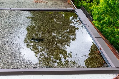 Reflected image of trees and sky on a wet flat roof.
