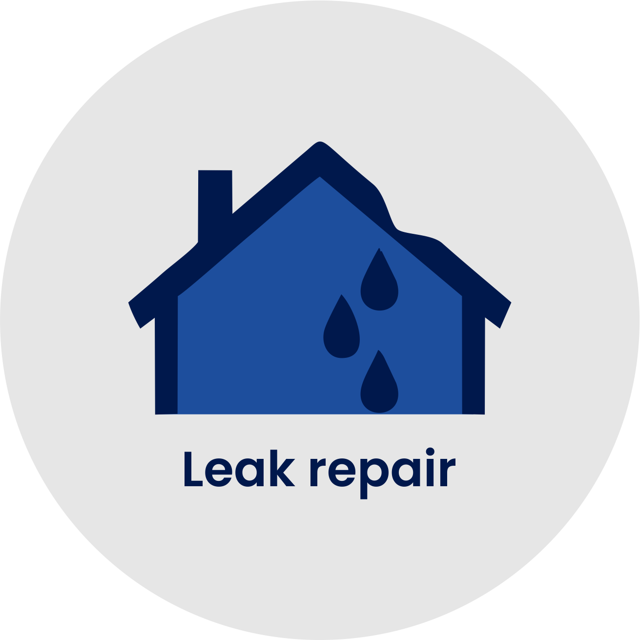 Icon of a house with drops of water indicating leak repair, with text 'Leak repair' below