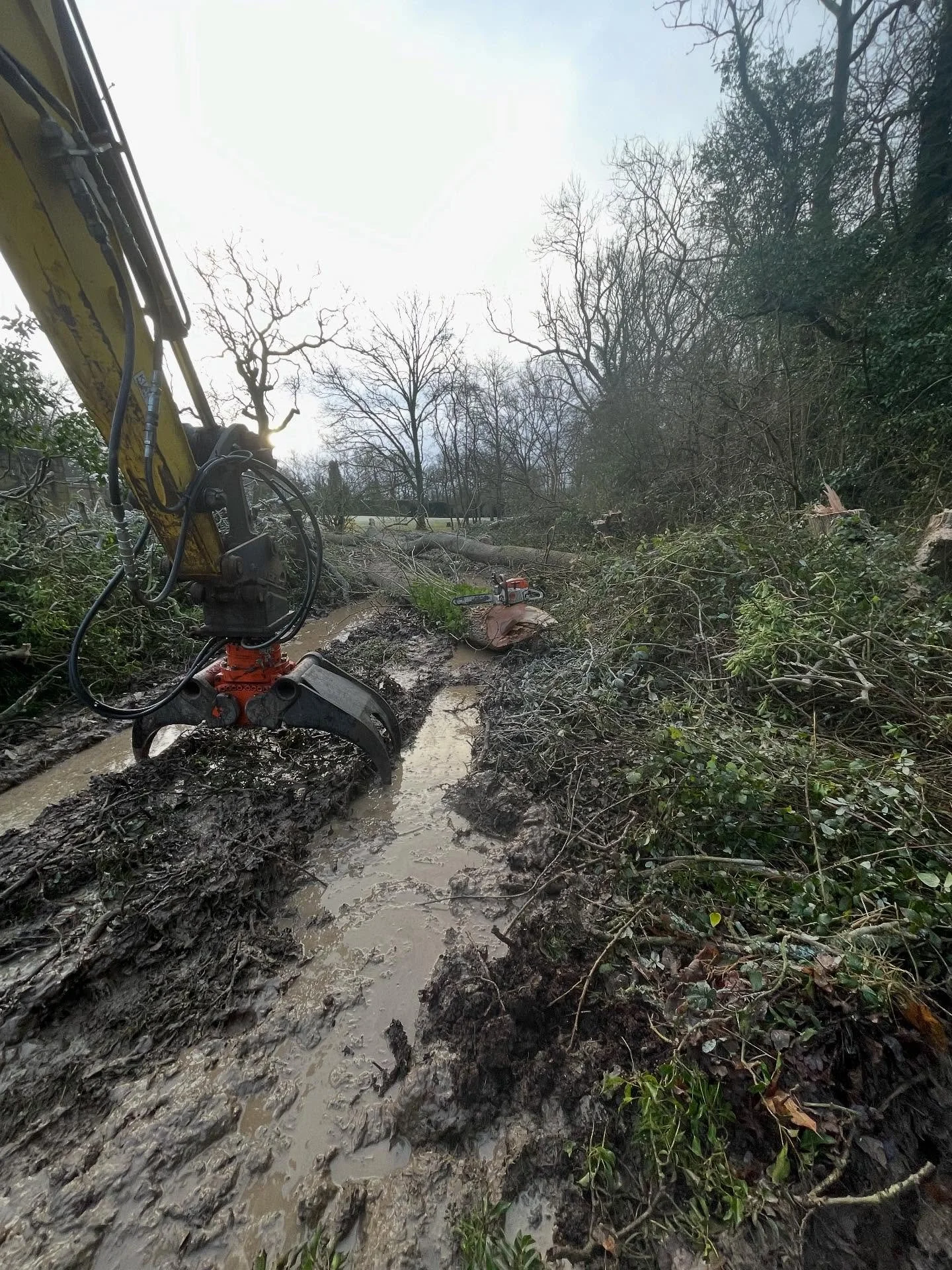 With September already upon us and bird nesting season over, it&rsquo;s the perfect time to get started with site clearance, tree removals, pollarding, reductions, hedge cutting to name just a few.

Contact us for a free quotation or advice, and we&r