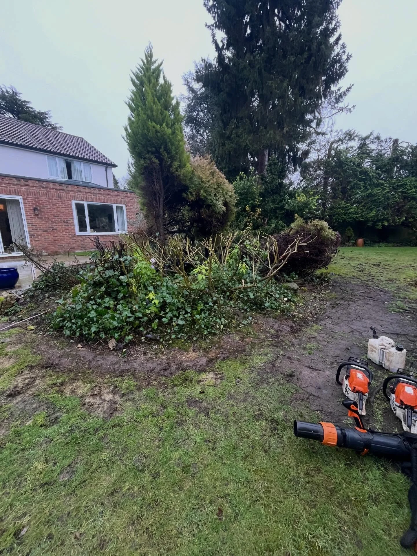 Earlier this week we carried out a clearance around a pond in Banstead. All stumps removed allowing us to carry out a new landscaping project in the future.
