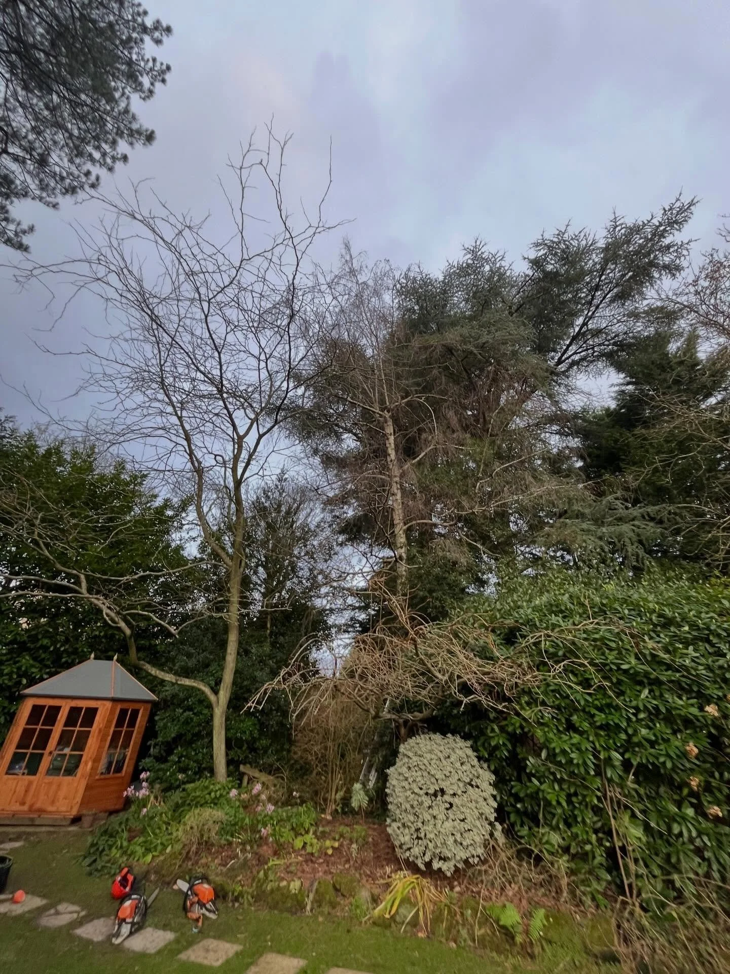 It&rsquo;s been a very busy few weeks! Here are a few photos from one of our jobs earlier this week where we removed a silver birch and a bay tree as well as a carrying out a couple reductions. 

Wishing everyone as Happy Easter 🐣!