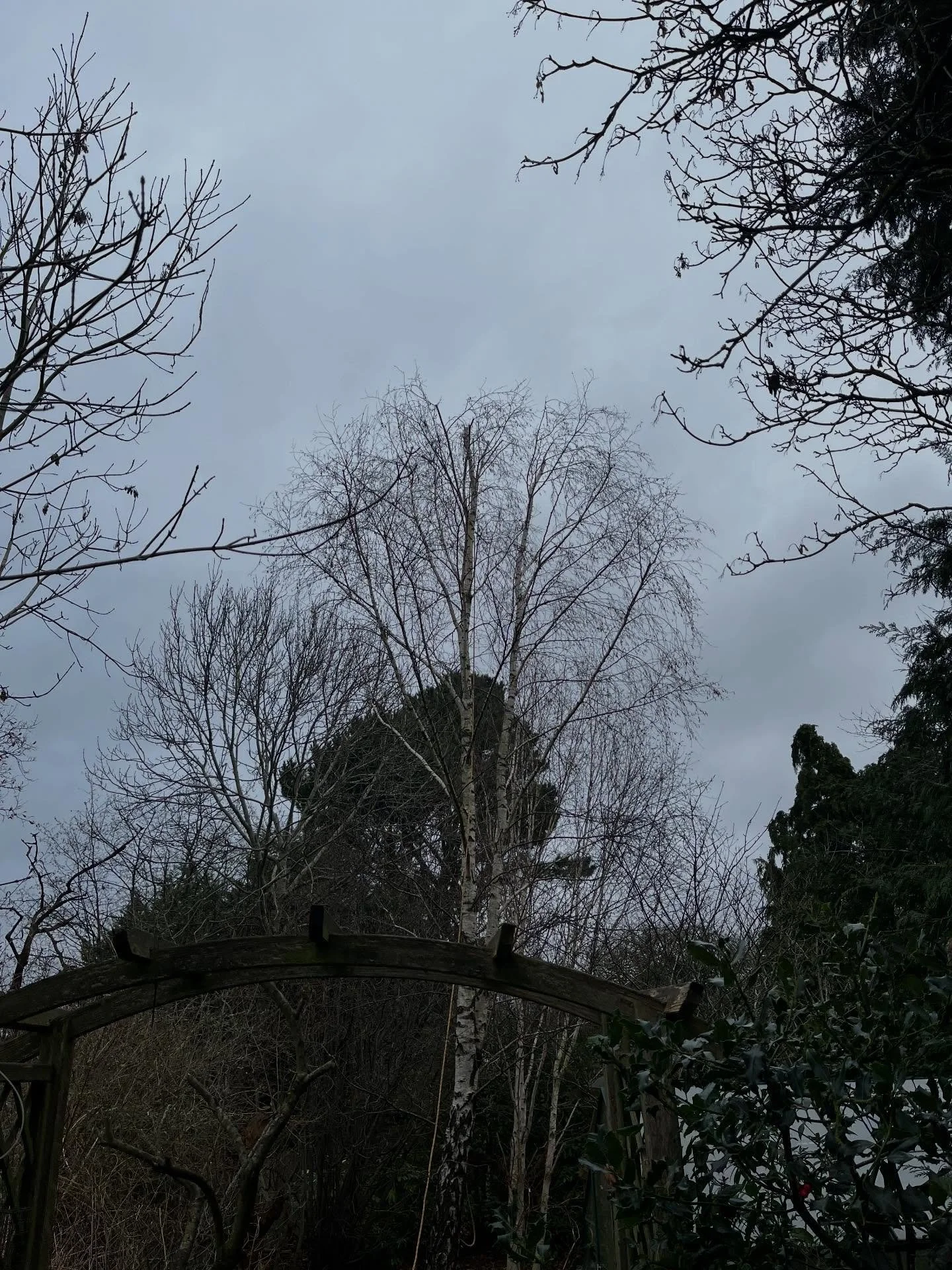 A couple photos from some of the recent reduction carried out.